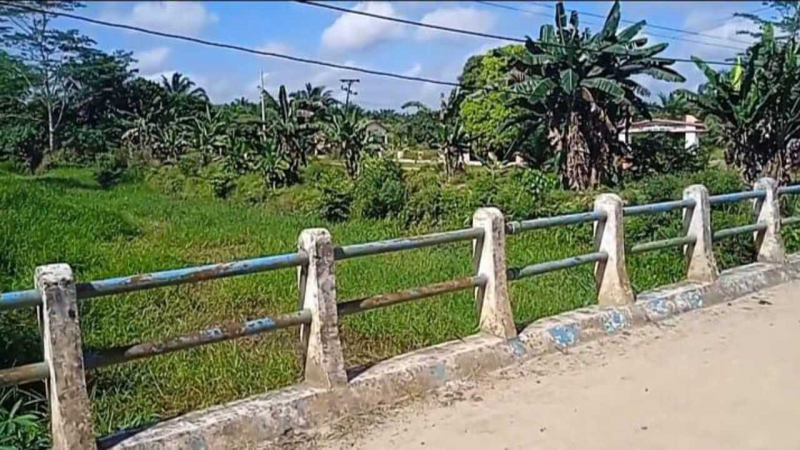Hampir seluruh permukaan sungai sepanjang sekitar tiga kilometer dengan lebar mencapai 20 meter itu kini tertutup hamparan rumput. 