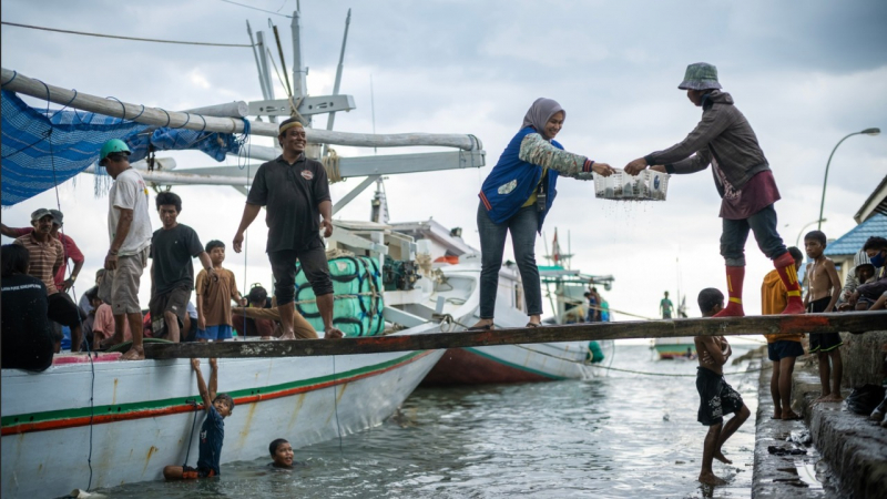 Pegawai BRI memperluas kontribusi terhadap ekonomi kerakyatan melalui pembiayaan sektor produktif 