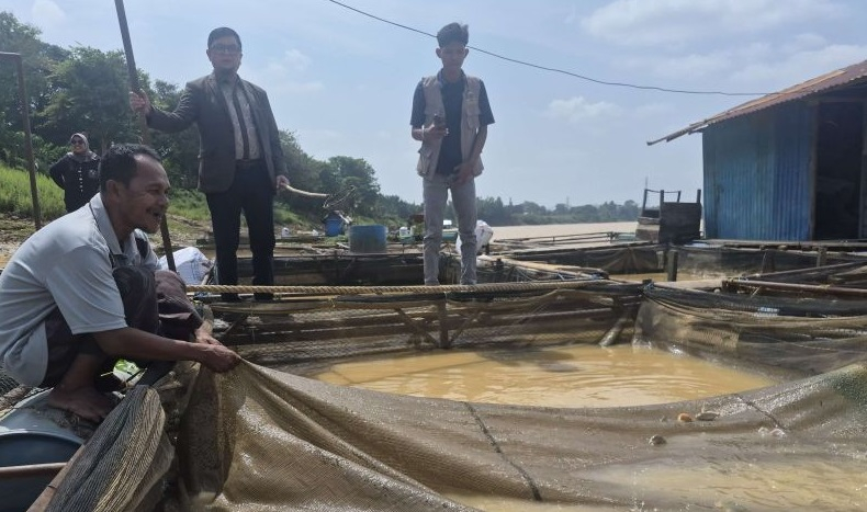 Terlihat petani keramba ikan di tepi Sungai Batanghari sedang mengangkat ikan-ikan mati dari jaring keramba