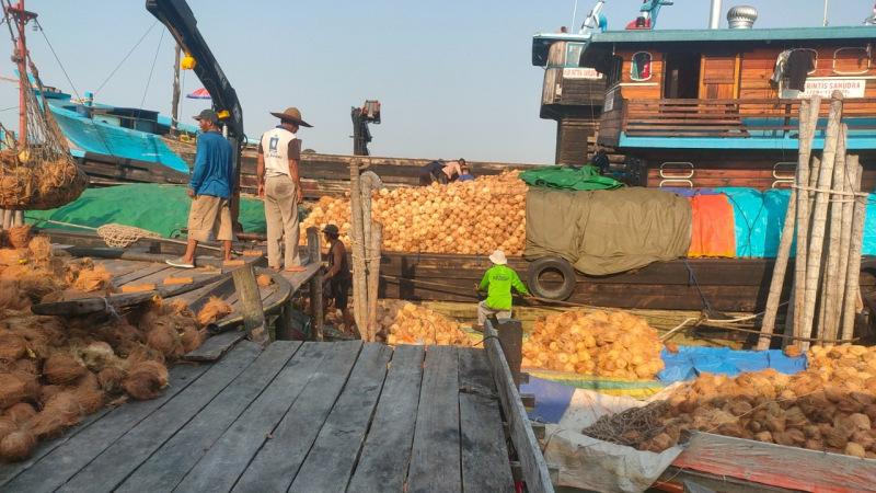 Patani kelapa di Tanjabtim saat membongkar kelapa di pelabuhan.