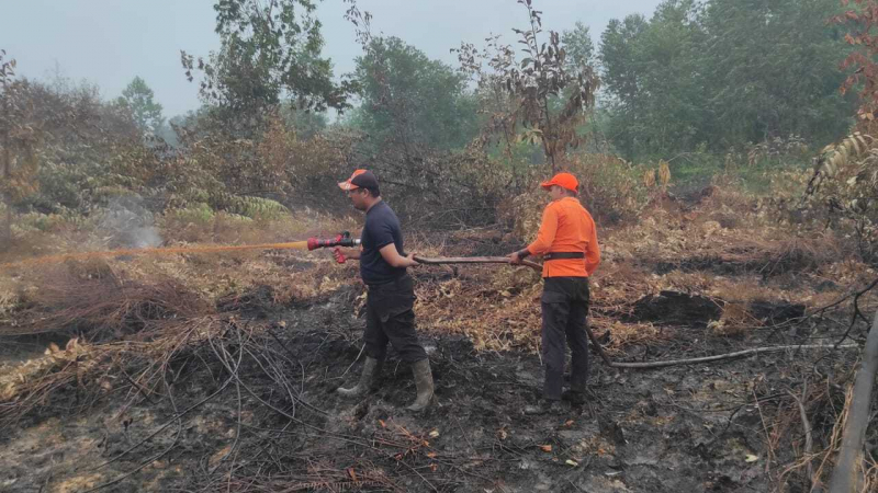 Petugas ketika melakukan pendinginan di area lahan yang terbakar akibat kemarau 
