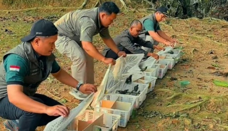 Tim BKSDA Jambi melaksanakan pelepasliaran seratusan burung dilindungi dan tidak dilindungi di kawasan Cagar Alam Gua Ulu Tiangko Kabupaten Merangin.