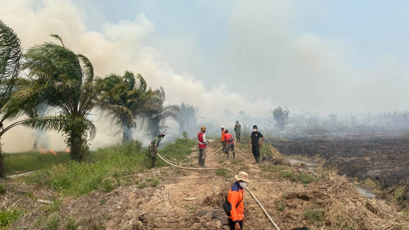 Petugas saat memadamkan api kebakaran hutan dan lahan di Muaro Jambi