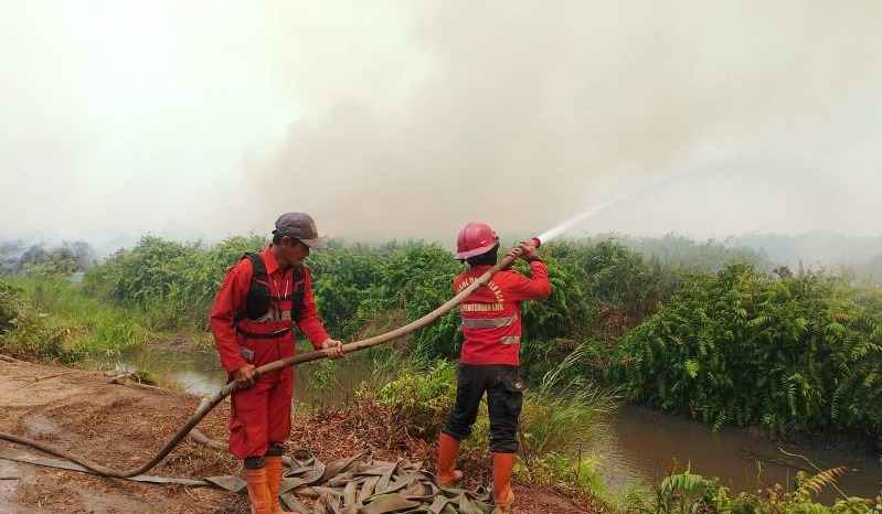 Pemadaman karhutla di lahan gambut Londerang, Kabupaten Tanjabtim